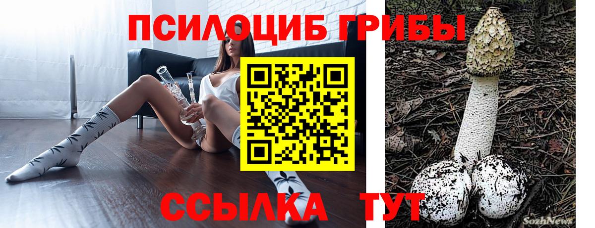 Псилоцибиновые грибы прущие грибы Печора